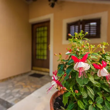 Apartman Andrije Buvine *