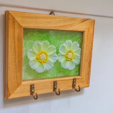 Andrije Buvine Zára