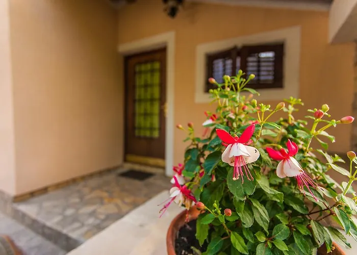 Appartement Andrije Buvine *