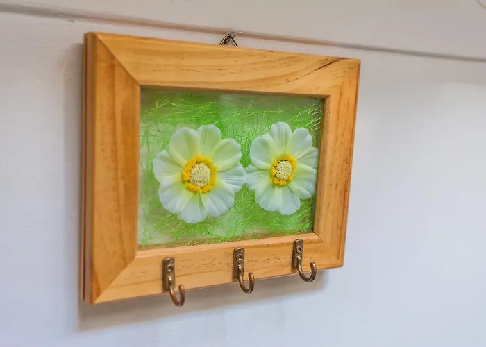 Andrije Buvine Zadar